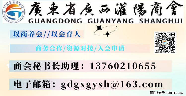 “粤灌文化 美好生活”油茶文化主题活动在广东深圳成功举办 - 濮阳生活资讯 - 濮阳28生活网 puyang.28life.net