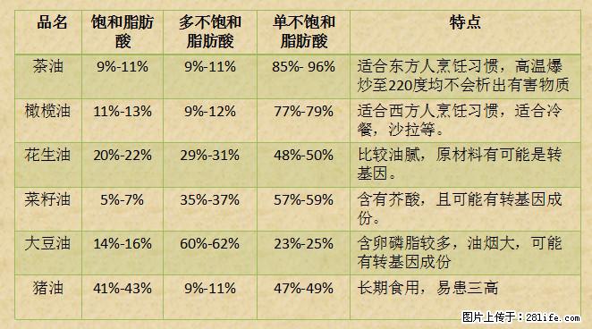 揭秘茶油的5大核心营养成分！被称为人体健康的“守护盾”！ - 濮阳生活资讯 - 濮阳28生活网 puyang.28life.net