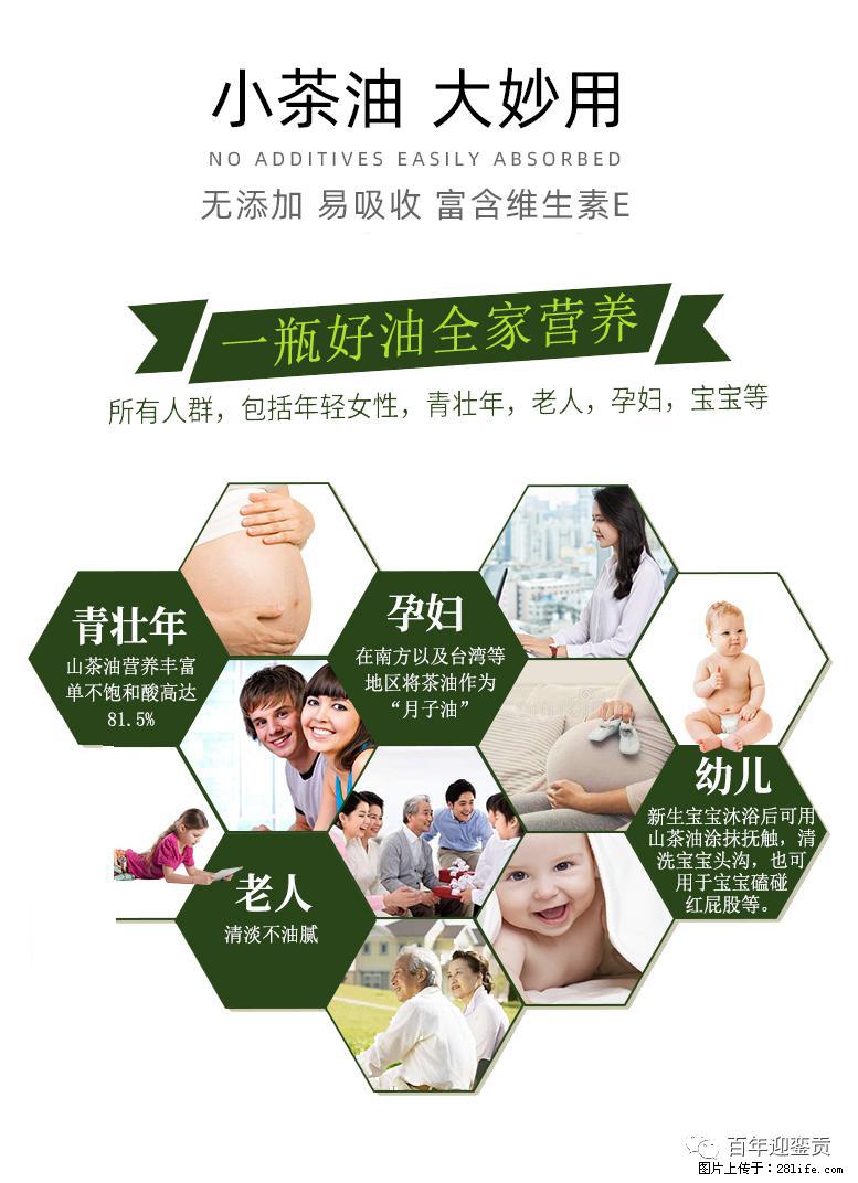 世界没有真相，只有认知，最好的食用油是中国的山茶油！ - 濮阳生活资讯 - 濮阳28生活网 puyang.28life.net
