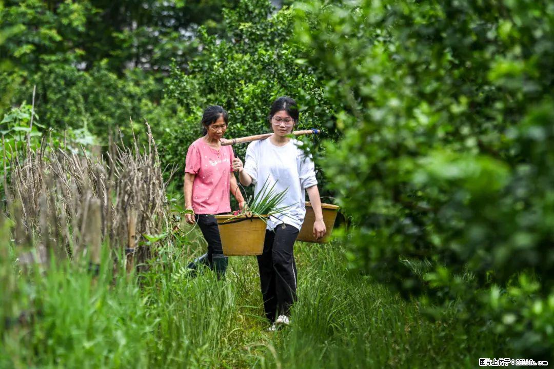 全网追的“扁担女孩”，找了一份暑假工，时薪12元 - 濮阳生活资讯 - 濮阳28生活网 puyang.28life.net