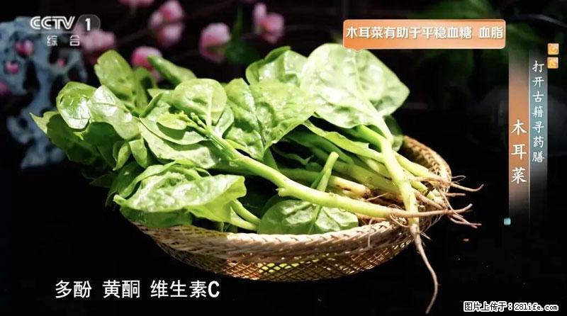 比牛奶补钙还厉害！凉血解毒、稳血糖...这菜冬天必吃，很多人却当草 - 濮阳生活资讯 - 濮阳28生活网 puyang.28life.net