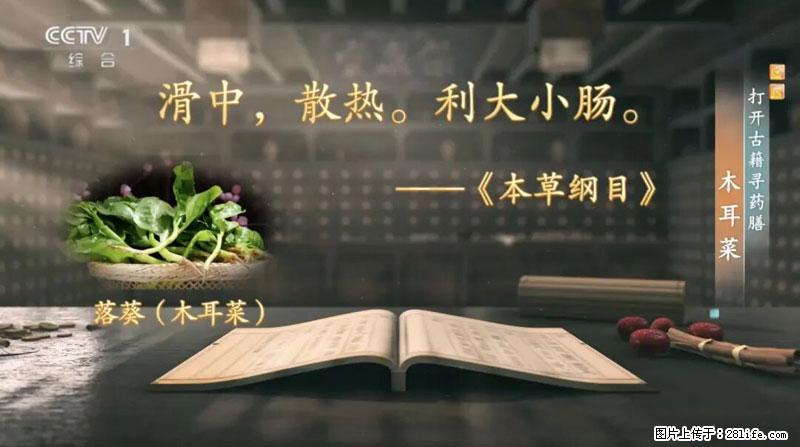 比牛奶补钙还厉害！凉血解毒、稳血糖...这菜冬天必吃，很多人却当草 - 濮阳生活资讯 - 濮阳28生活网 puyang.28life.net