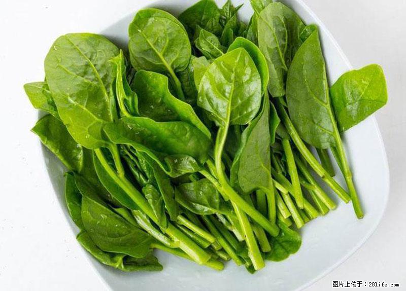 这些蔬菜是“天然钙片”，这6种被医生重点推荐 - 濮阳生活资讯 - 濮阳28生活网 puyang.28life.net