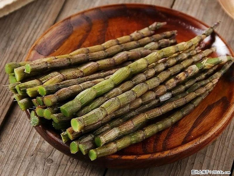 铁皮石斛的作用与功能主治 - 濮阳生活资讯 - 濮阳28生活网 puyang.28life.net