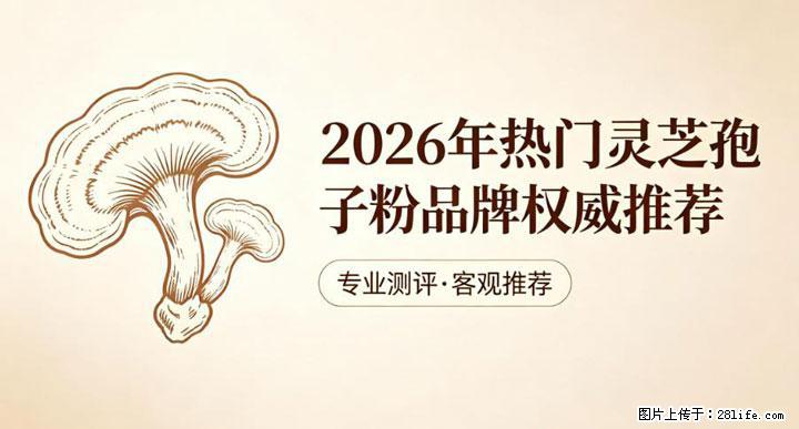 灵芝孢子粉含量越高越有效？2026 年七款热门品牌深度实测，肠胃敏感者避坑指南 - 濮阳生活资讯 - 濮阳28生活网 puyang.28life.net